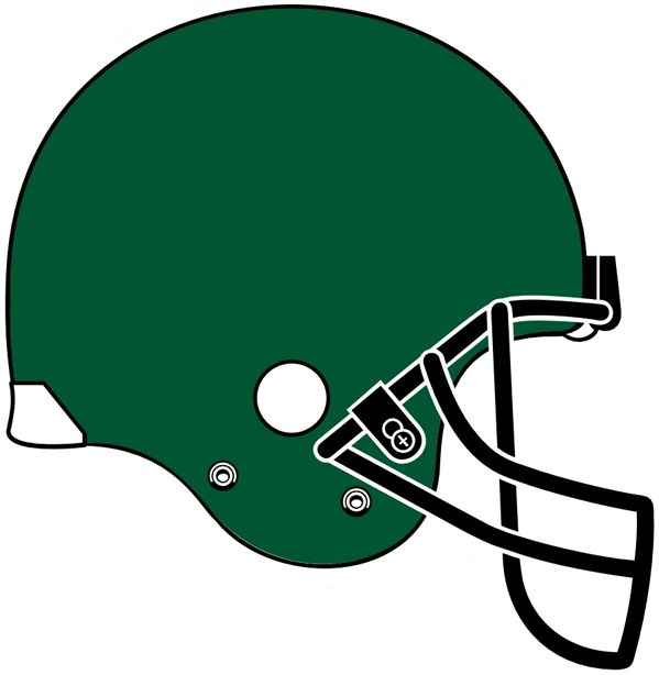 Tulane Green Wave 2005 Helmet Logo iron on transfers for fabric